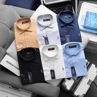 Sơ mi polo OXFORD nam, vải chính quy  , đồng chất.