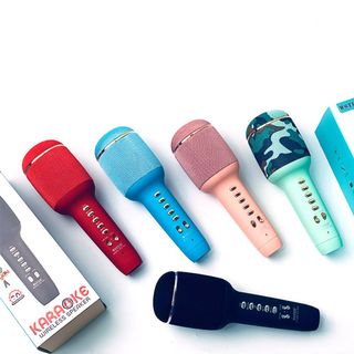 Micro Karaoke Bluetooth WSTER WS-900 Giá Sỉ
