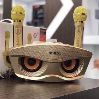 LOA KARAOKE BLUETOOTH SD-306 GIÁ SỈ