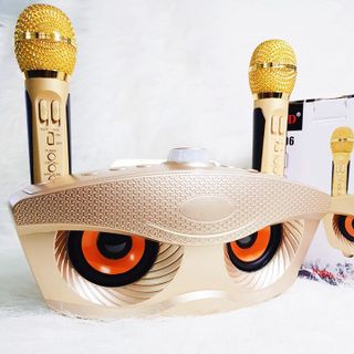LOA KARAOKE BLUETOOTH SD-306 GIÁ SỈ