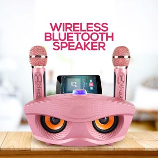 LOA KARAOKE BLUETOOTH SD-306 GIÁ SỈ