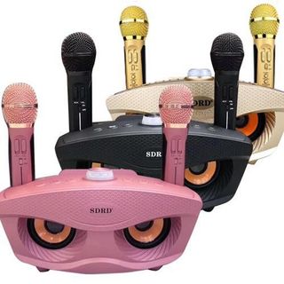 LOA KARAOKE BLUETOOTH SD-306 GIÁ SỈ