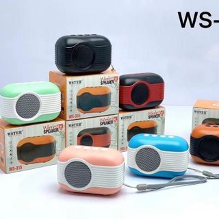 LOA BLUETOOTH MINI WSTER WS-305 GIÁ SỈ