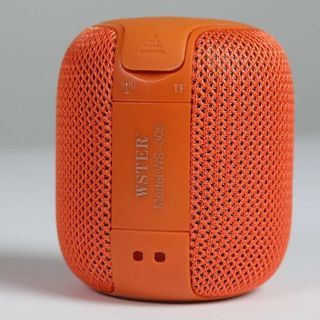 LOA BLUETOOTH MINI WSTER WS-305