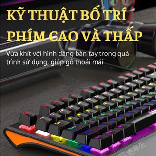 COMBO PHÍM CHUỘT CÓ DÂY CHÍNH HÃNG DEIOG DY-M115 LED RGB (ĐEN) KÈM GIÁ ĐỠ CHỐNG MỎI