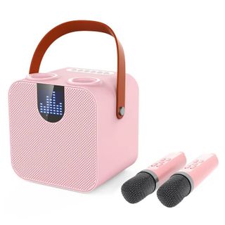 Loa Karaoke Bluetooth SP-200 Giá Sỉ