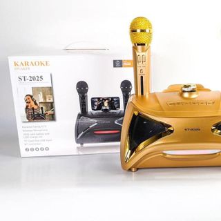 Loa Karaoke Bluetooth ST-2025 Giá Sỉ