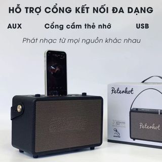 LOA KARAOKE BLUETOOTH A106W GIÁ SỈ