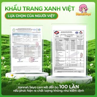 Khẩu trang 5D Hannah seyo chống tia UV chống nắng bụi mịn 3 lớp