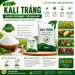 KALI TRẮNG CHUẨN LƯU HÀNH – GIÁ NHÀ MÁY – NHẬN SỈ SỐ LƯỢNG LỚN