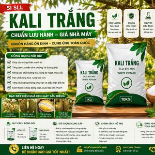 KALI TRẮNG CHUẨN LƯU HÀNH – GIÁ NHÀ MÁY – NHẬN SỈ SỐ LƯỢNG LỚN