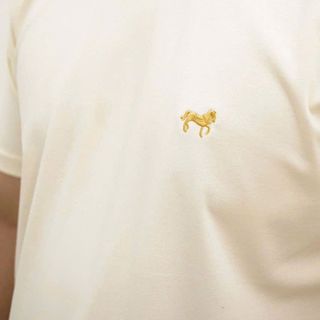 Áo thun nam. Thời Trang Nam. Full 100% Cotton gân, mịn, đẹp, vải dệt riêng đã xử lí co rút, 4 màu basic dễ bán.
