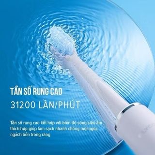 Bàn chải điện Flyco FT7108VN