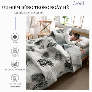 Chăn Lạnh PANTENE, Chăn Mùa Hè Mềm Mịn Siêu Mát Lạnh Kích Thước 200*220cm, Chăn Mỏng Mùa Hè Chất Vải Thân Thiện Với Da.