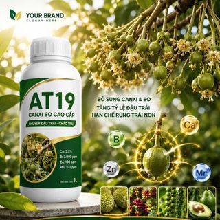 AT19 – CANXI BO CHUYÊN ĐẬU TRÁI, CHẮC TRÁI; NHẬN GIA CÔNG THƯƠNG HIỆU RIÊNG – SỈ SỐ LƯỢNG LỚN TOÀN QUỐC