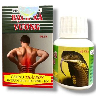 Viên uống đau nhức xương khớp, thoái hóa khớp, và đau dây thần kinh tọa Phong tê nhức bạch xà vương Plus - Hộp 40 viên - Xuất xứ Việt Nam - Mã số 2151