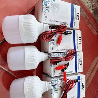 Bóng đèn led 12v