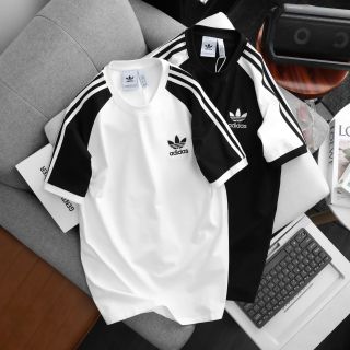 Áo thun nam. Chất cotton 100% 4c cao cấp, Form slim.