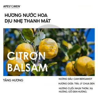 Sáp tạo kiểu cho tóc Apestomen Treatment Matte Paste 75g