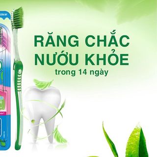 Bàn chải OralB Trà xanh