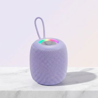 LOA BLUETOOTH MINI WS-309