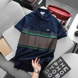 Áo thun polo nam. Thời Trang Nam.  Chất vải Cotton cá sấu mặt láng cao cấp, ko nhăn, mềm, mướt, mặc mát.