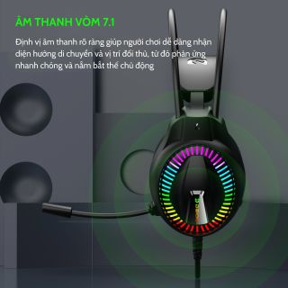 TAI NGHE VI TÍNH CHÍNH HÃNG DEIOG X10 LED RGB USB 7.1