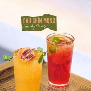 BỘ 6 LY THUỶ TINH SỌC CAO 333ML Y5840-2A (T8)