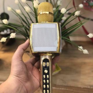 MICRO KARAOKE BLUETOOTH YS-91
