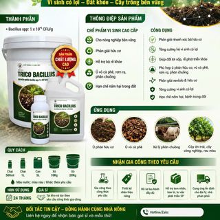 TRICO BACILLUS – Chế phẩm vi sinh cao cấp cho nông nghiệp bền vững