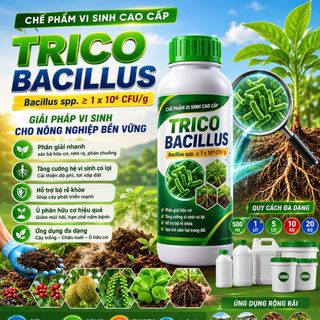 TRICO BACILLUS – Chế phẩm vi sinh cao cấp cho nông nghiệp bền vững