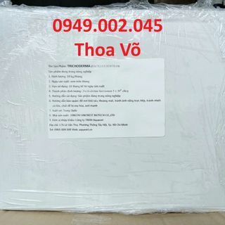 TRICHODERMA HARZIANUM – CHẾ PHẨM VI SINH XỬ LÝ ĐẤT, PHÒNG BỆNH THỐI RỄ, TĂNG TRƯỞNG CÂY TRỒNG