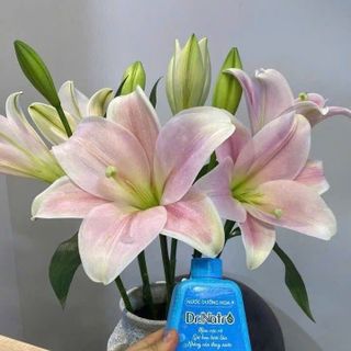 Nước dưỡng hoa Dr.Natro