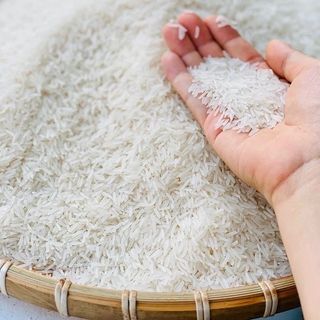 Gạo lúa tôm đặc sản Sóc Trăng ST25 túi 5kg