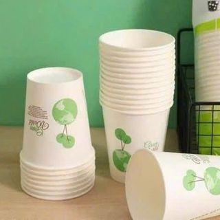 Set 50 cốc giấy  235ml