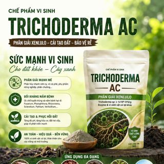 TRICHODERMA AC – CHẾ PHẨM VI SINH PHÂN GIẢI XENLULO