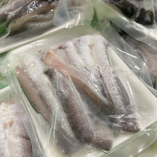 Cá lóc cửng 1 nắng - Khay 500g (giao tphcm)