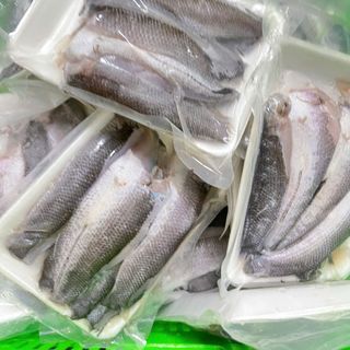 Cá lóc cửng 1 nắng - Khay 500g (giao tphcm)