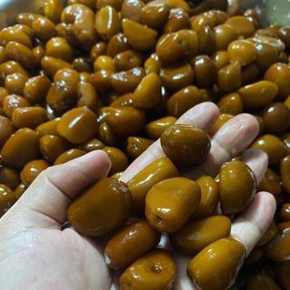 HẠT GIỐNG SALAK MADU MẬT ONG - MÂY INDO