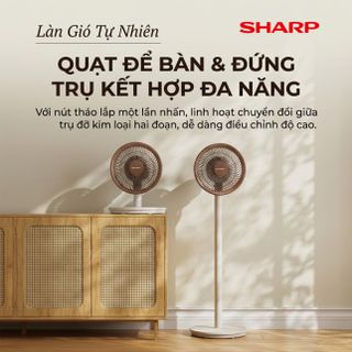 Quạt Cây Đối Lưu Đa Năng Sharp PJ-CD300A – Làm Mát Diện Rộng, Tiết Kiệm Điện Và Linh Hoạt Cho Mọi Không Gian