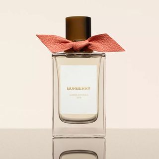 Burberry Garden Roses