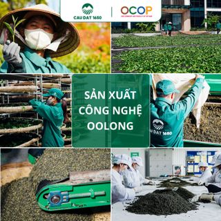 [Chuyên Dùng Cho Pha Chế] Trà Lài Cầu Đất 101 Túi 500g