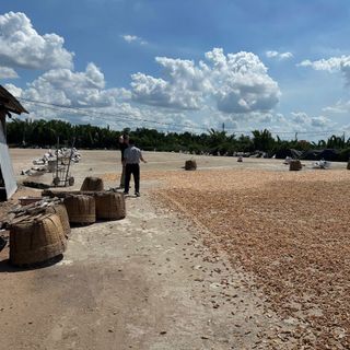 Vỏ Đầu Tôm Làm Nguyên Liệu Thức Ăn Chăn Nuôi