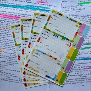 Nhãn vở học sinh kèm sticker ghi tên