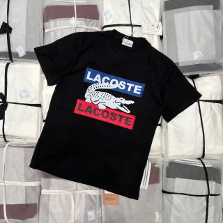 ⚜️ Tee - Shirt Lacoste New