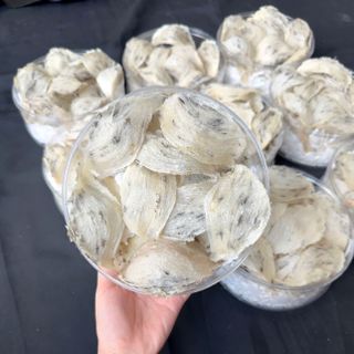 Yến thô nguyên chất ít lông hộp 100gram