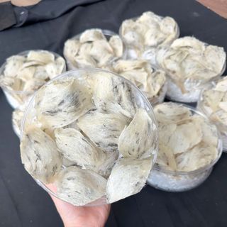Yến thô nguyên chất ít lông hộp 100gram