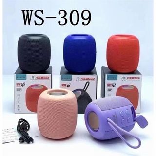 Loa bluetooth WSTER WS-309 cầm tay mini với công suất 5W