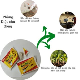 Thuốc diệt kiến gián dạng bột