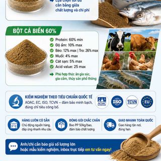 BỘT CÁ BIỂN PROTEIN 60% – 63% CHẤT LƯỢNG CAO | NGUYÊN LIỆU SẢN XUẤT THỨC ĂN CHĂN NUÔI, THỦY SẢN GIÁ SỈ